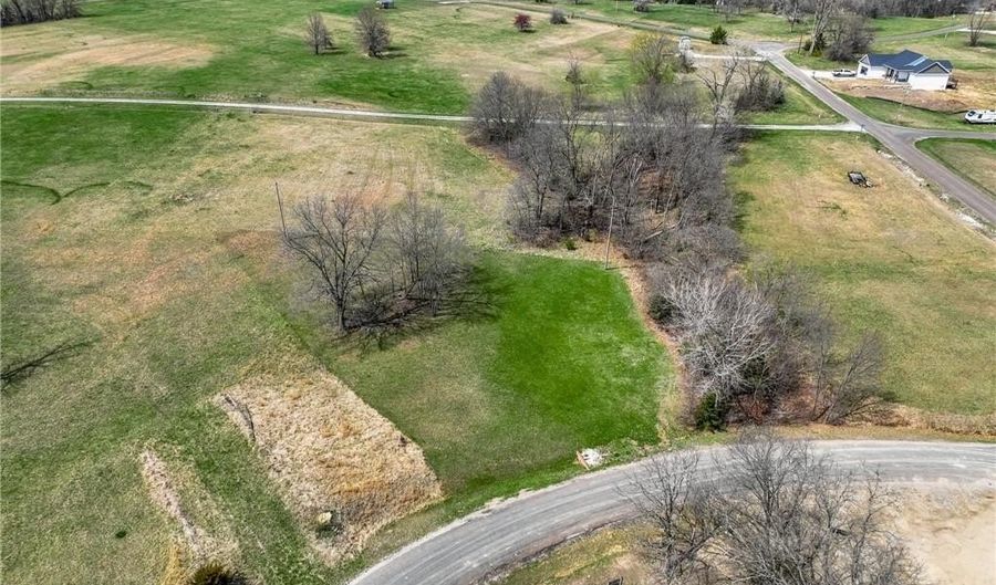 Lake Viking Terrace lot 1569, Altamont, MO 64620 - 0 Beds, 0 Bath