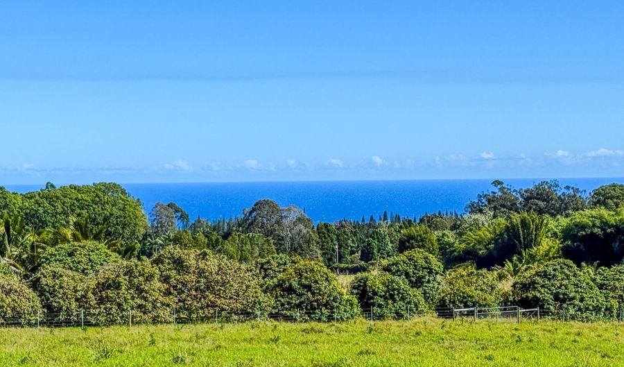 29-613 CHIN CHUCK Rd, Hakalau, HI 96710 - 0 Beds, 0 Bath