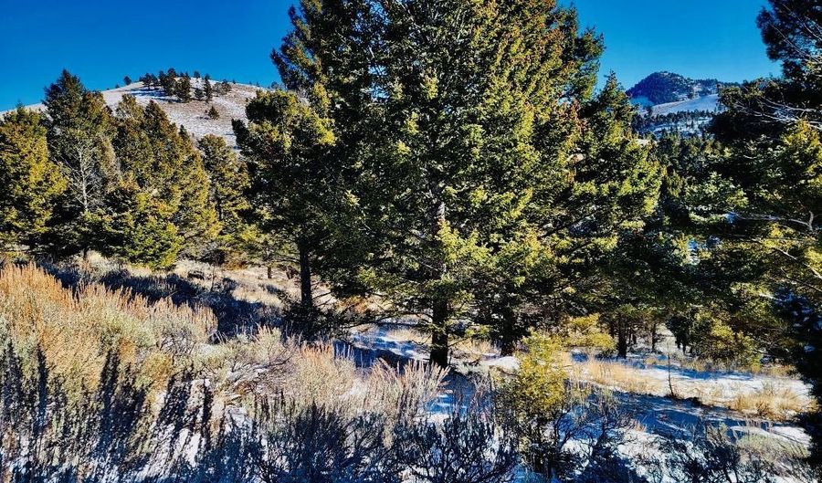 Mining Claim Access, Basin, MT 59631 - 0 Beds, 0 Bath