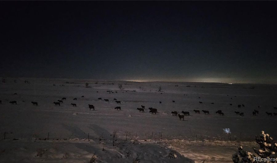 15709 W 95th Pl, Arvada, CO 80007 - 4 Beds, 4 Bath