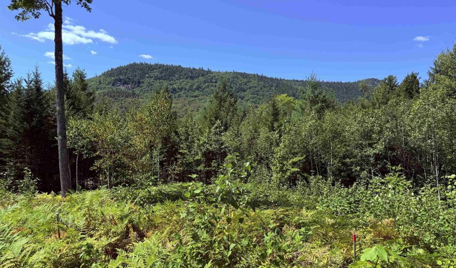 F2 Cave Mountain Road, Bartlett, NH 03812 - 0 Beds, 0 Bath