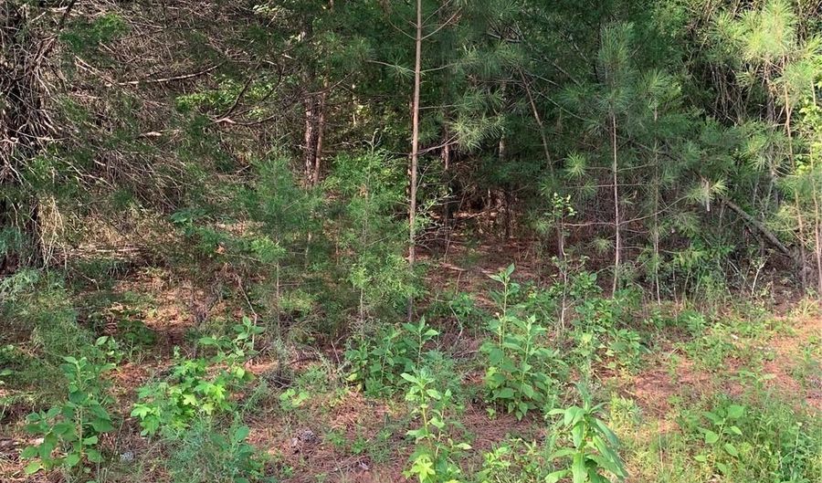 Rock House Road, Blacksburg, SC 29702 - 0 Beds, 0 Bath