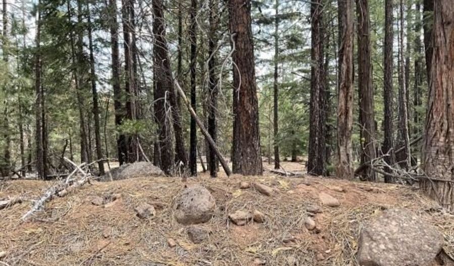 N Overland Dr, Alturas, CA 96101 - 0 Beds, 0 Bath