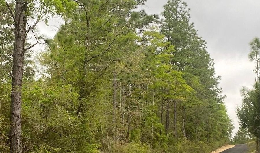 16 Acres Sherman Kennedy Rd, Baker, FL 32531 - 0 Beds, 0 Bath