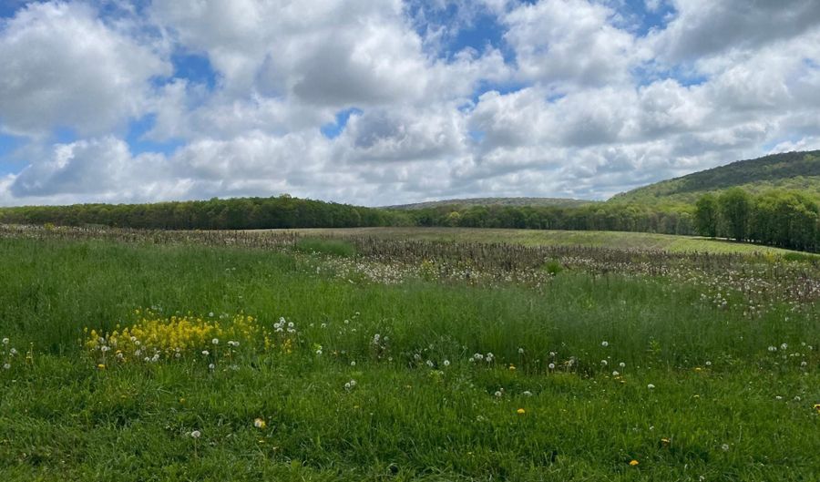 220 DIESEL SCHOOL Rd, Accident, MD 21520 - 3 Beds, 2 Bath