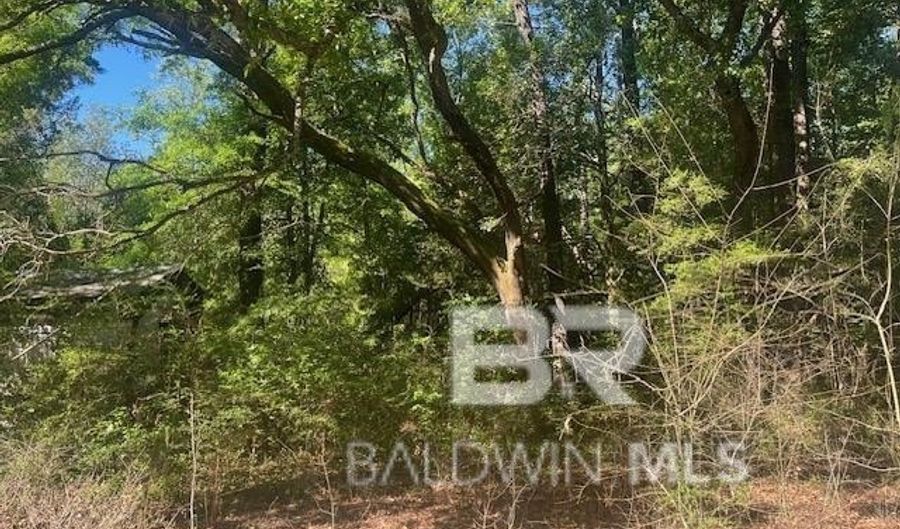 42507 Amelia Rd, Bay Minette, AL 36507 - 0 Beds, 0 Bath