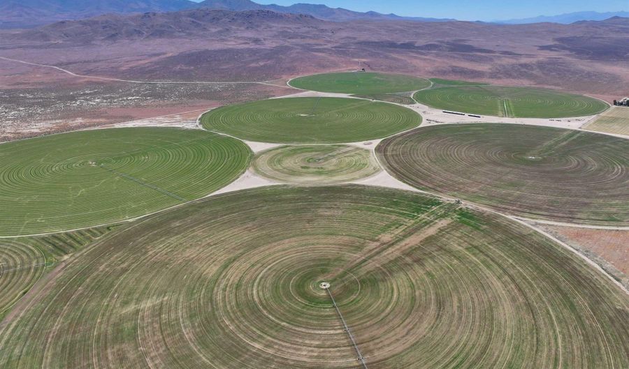 51955 Wilder Creek Rd, Denio, NV 89404 - 3 Beds, 2 Bath