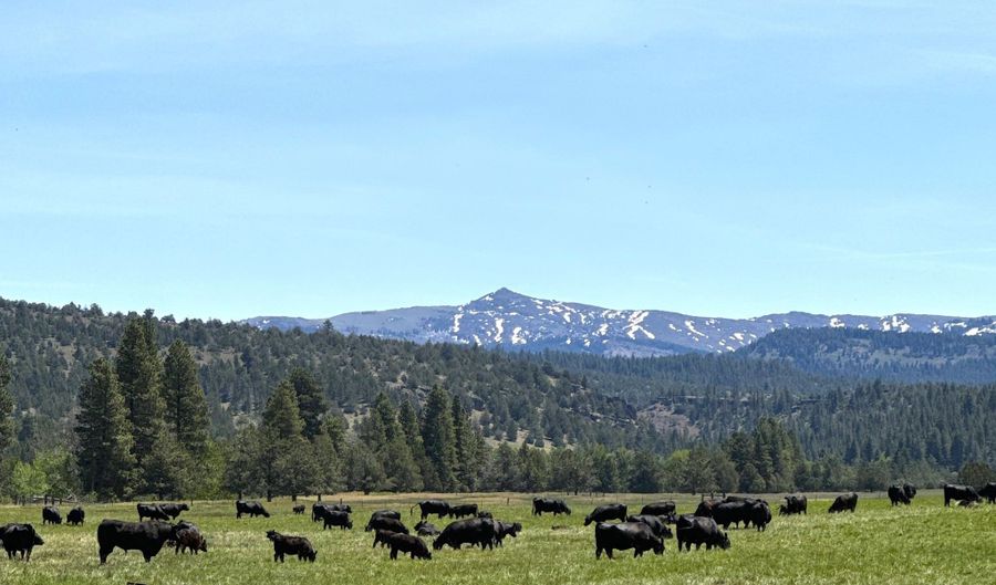 County Road 199, Alturas, CA 96101 - 3 Beds, 0 Bath