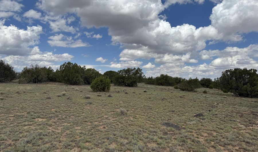 8 County Road 8080, Concho, AZ 85924 - 0 Beds, 0 Bath
