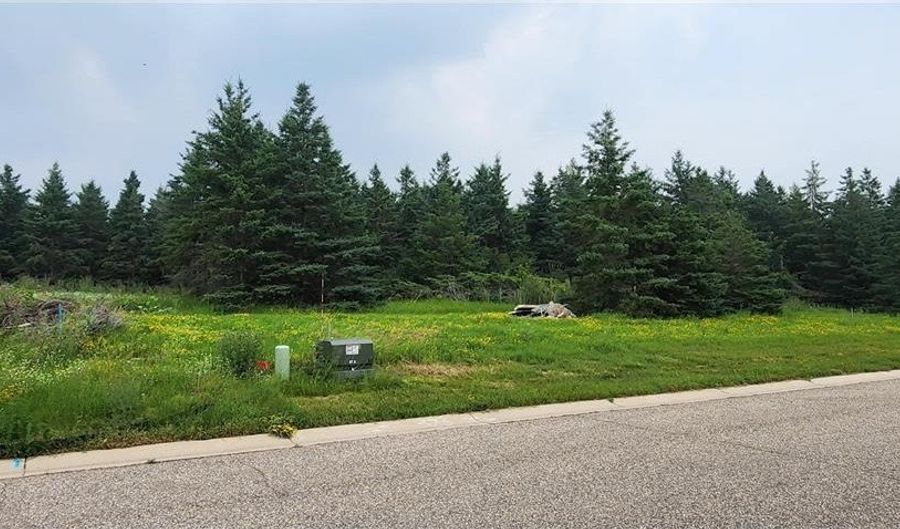 Lot 4 White Spruce Lane NW, Alexandria, MN 56308 - 0 Beds, 0 Bath