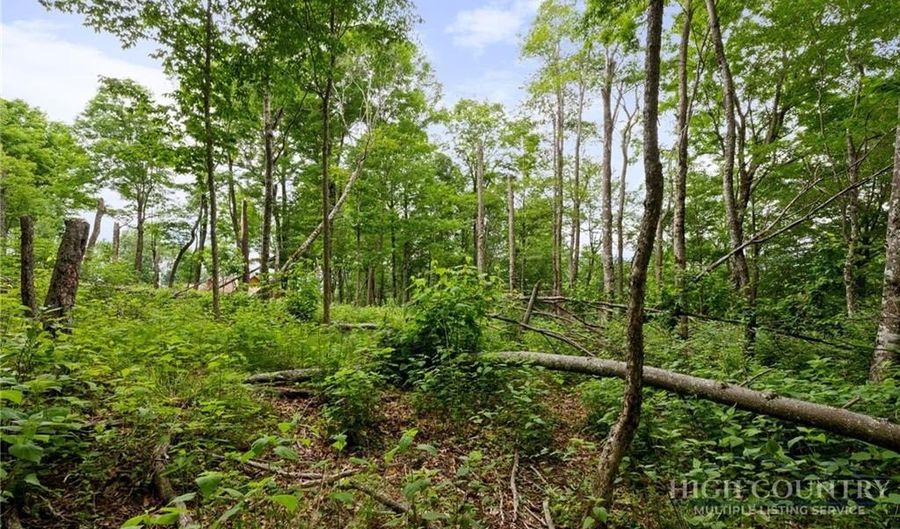 Skycamp Trail lot 41, Banner Elk, NC 28604 - 0 Beds, 0 Bath