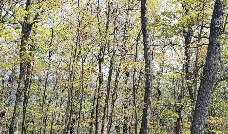 Ivyside Estates Lane lot 30, Altoona, PA 16601 - 0 Beds, 0 Bath