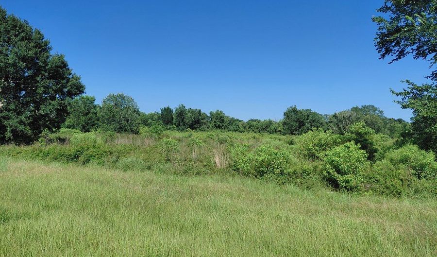 STATE HIGHWAY 288, Angleton, TX 77515 - 0 Beds, 0 Bath
