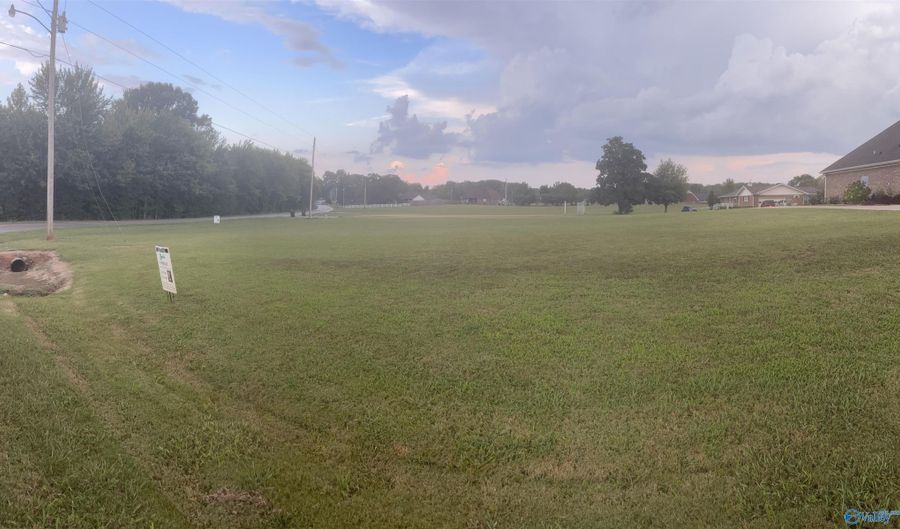 Lot 1 Brownsferry Street, Athens, AL 35611 - 0 Beds, 0 Bath