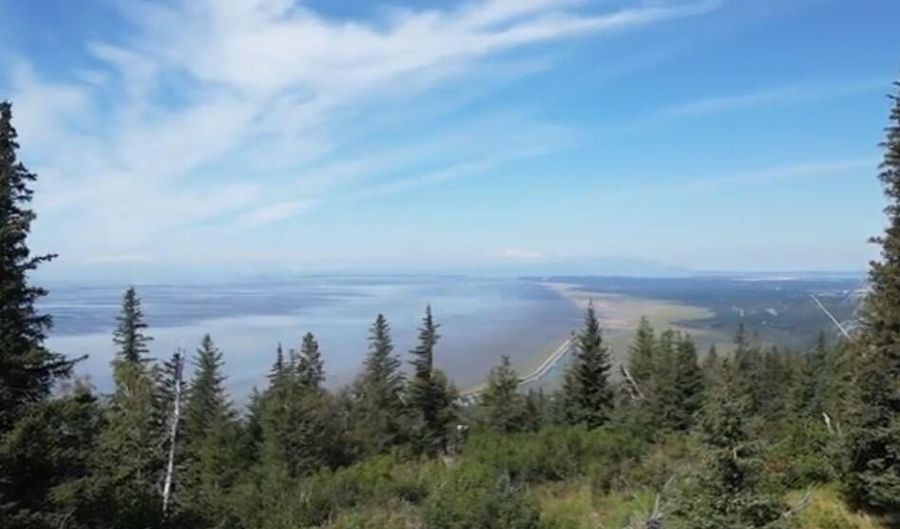 L11 Panoramic Circle, Anchorage, AK 99516 - 0 Beds, 0 Bath