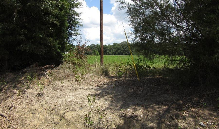 Eudon Best Rd, Ashford, AL 36312 - 0 Beds, 0 Bath