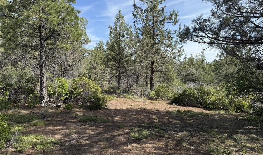 Porpoise Lane lot 29, Bonanza, OR 97623 - 0 Beds, 0 Bath