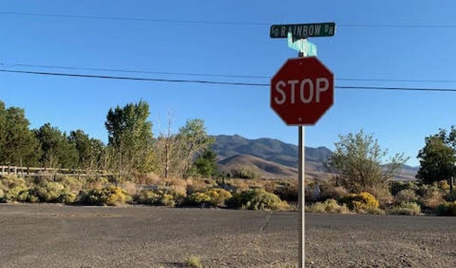 80 S Pinenut, Dayton, NV 89403 - 0 Beds, 0 Bath