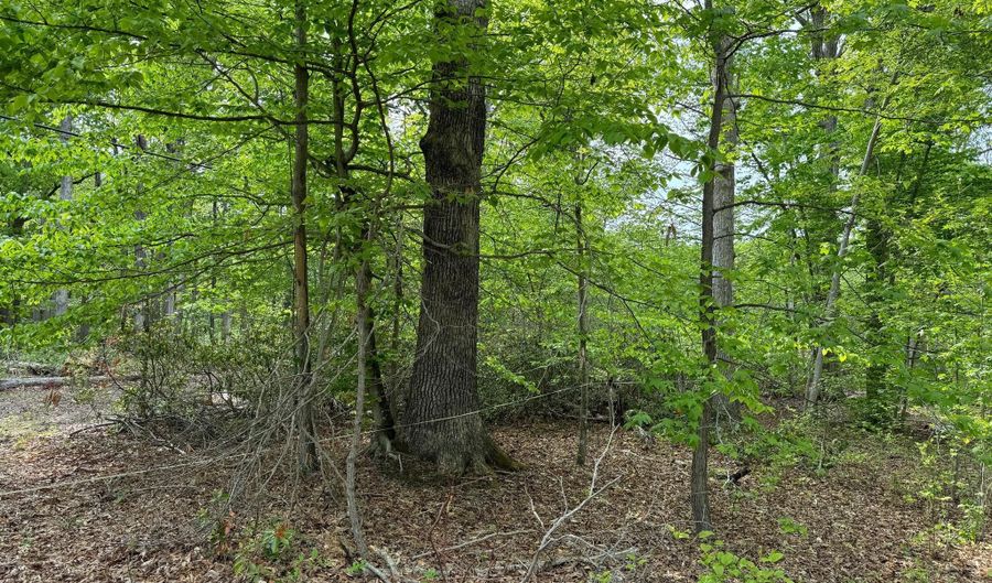 OLD MARSHALL HALL Road, Accokeek, MD 20607 - 0 Beds, 0 Bath