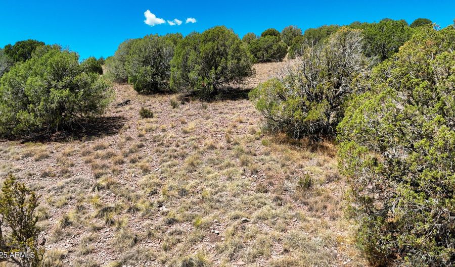00 N Hilltop Trl Lot D2, Chino Valley, AZ 86323 - 0 Beds, 0 Bath