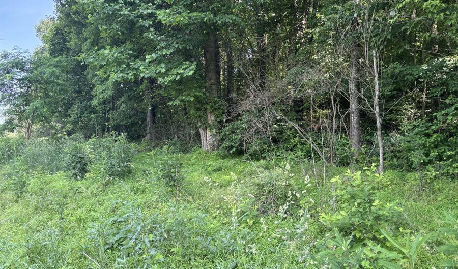 Tbd Reedy Creek Rd, Abingdon, VA 24210 - 0 Beds, 0 Bath