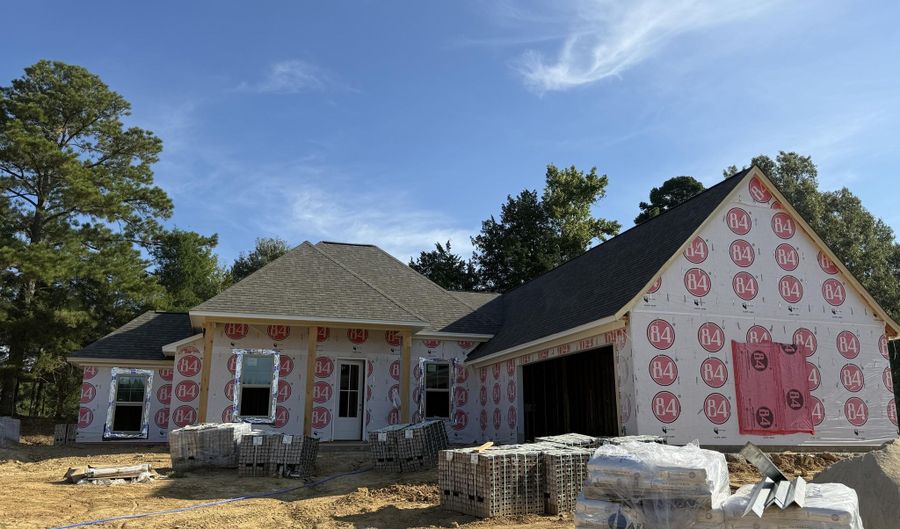 313 Jasmine Cove Ln, Brandon, MS 39042 - 4 Beds, 3 Bath
