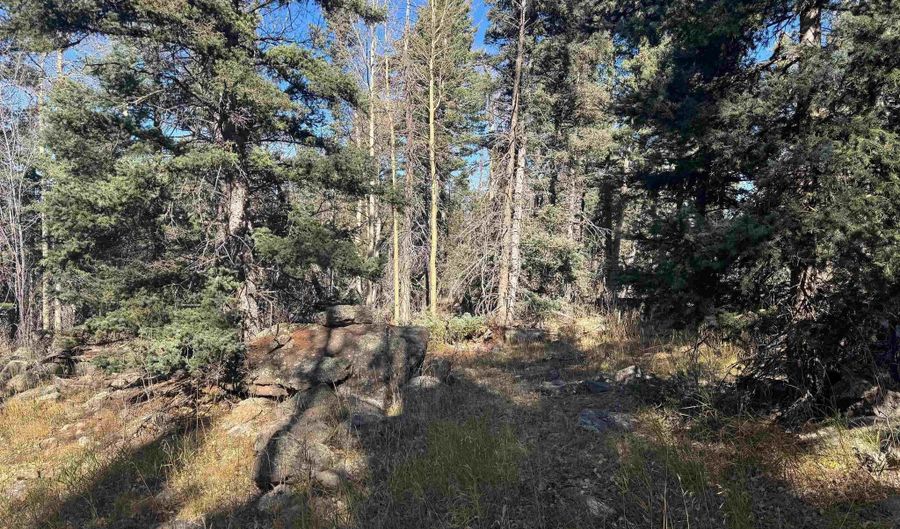 Rainbow Overlook lot 1227, Angel Fire, NM 87710 - 0 Beds, 0 Bath