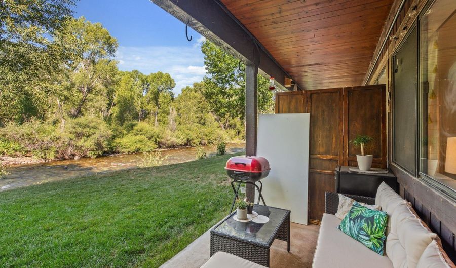 23284 TWO RIVERS Rd Unit 13, Basalt, CO 81621 - 1 Beds, 1 Bath