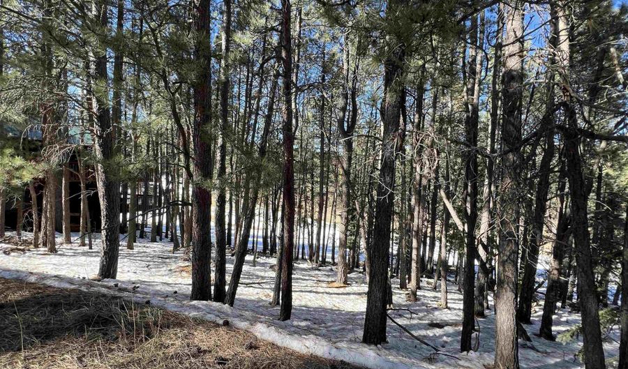 Lot 15 Champions Terrace, Angel Fire, NM 87710 - 0 Beds, 0 Bath