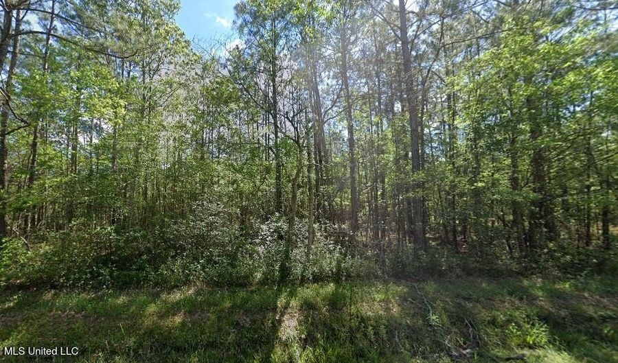 01 Laurel St, Bay St. Louis, MS 39520 - 0 Beds, 0 Bath