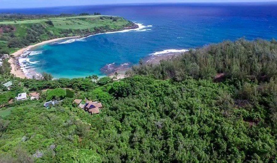 3665 MOLOAA Rd, Kapaa, HI 96746 - 1 Beds, 1 Bath