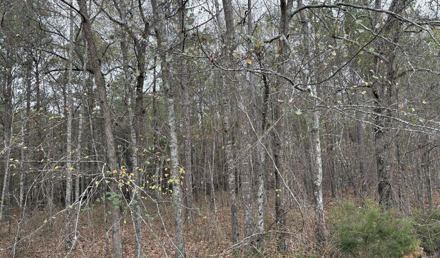 Parkview Dr, Amory, MS 38821 - 0 Beds, 0 Bath