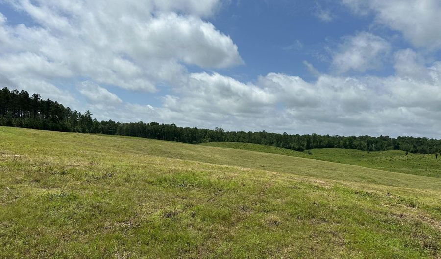 0 Otis Paine Rd, Bethel Springs, TN 38315 - 0 Beds, 0 Bath