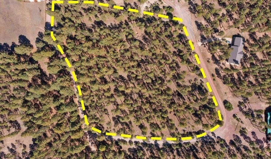 County Road 2325, Alpine, AZ 85920 - 0 Beds, 0 Bath