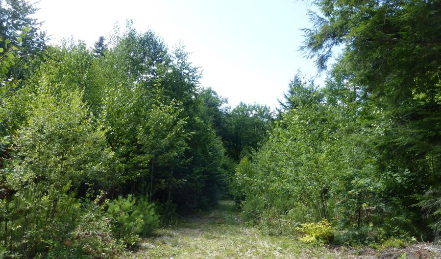 10-000031 D Douglas Hill Rd, Baldwin, ME 04024 - 0 Beds, 0 Bath