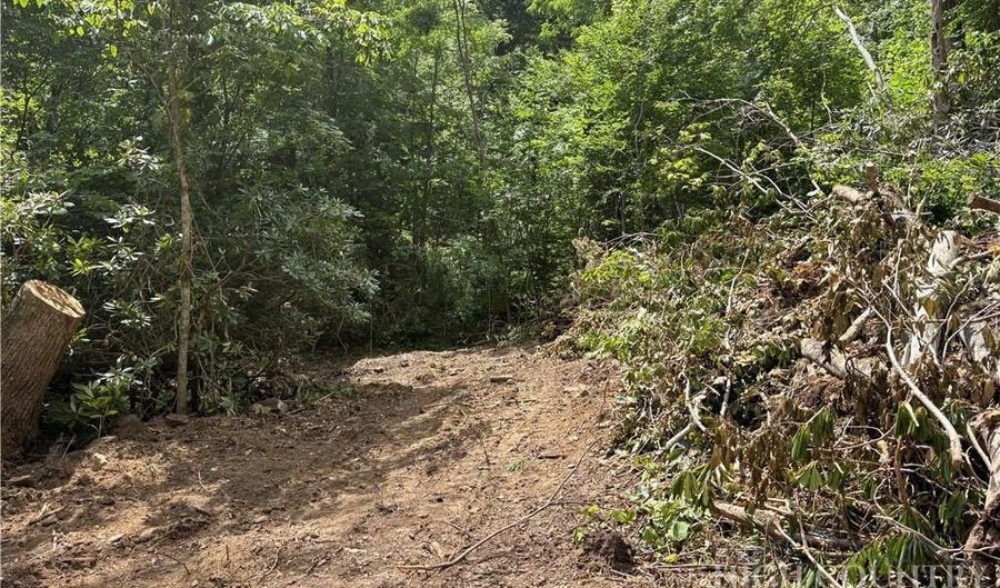 Shanty Springs Road lot 15, Banner Elk, NC 28604 - 0 Beds, 0 Bath