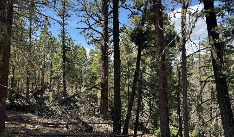 Lot 1662 El Vado Way, Angel Fire, NM 87710 - 0 Beds, 0 Bath