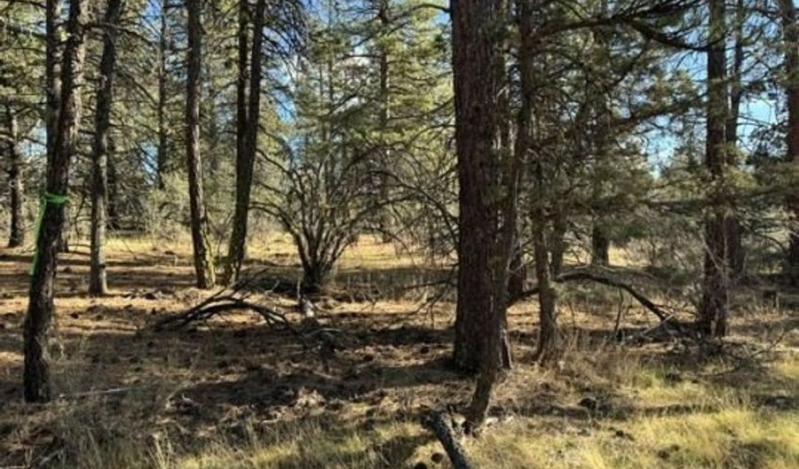 Bunting Drive, Bonanza, OR 97623 - 0 Beds, 0 Bath