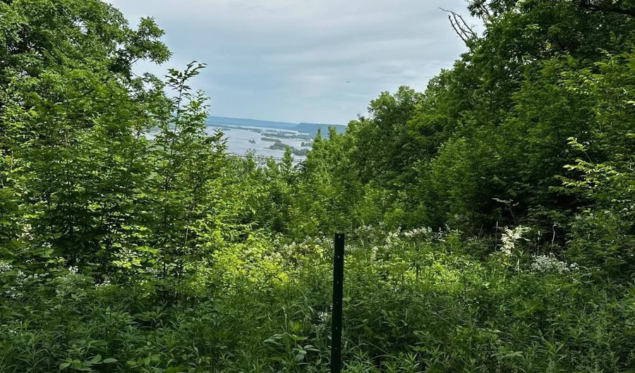 Alma Hills lot 1, Alma, WI 54610 - 0 Beds, 0 Bath