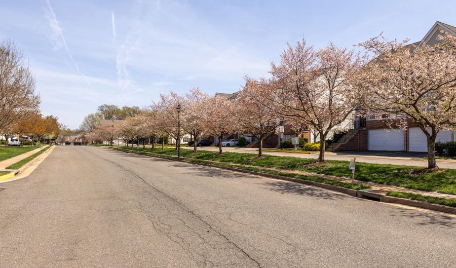 6747 APPLEMINT Ln, Alexandria, VA 22310 - 4 Beds, 4 Bath