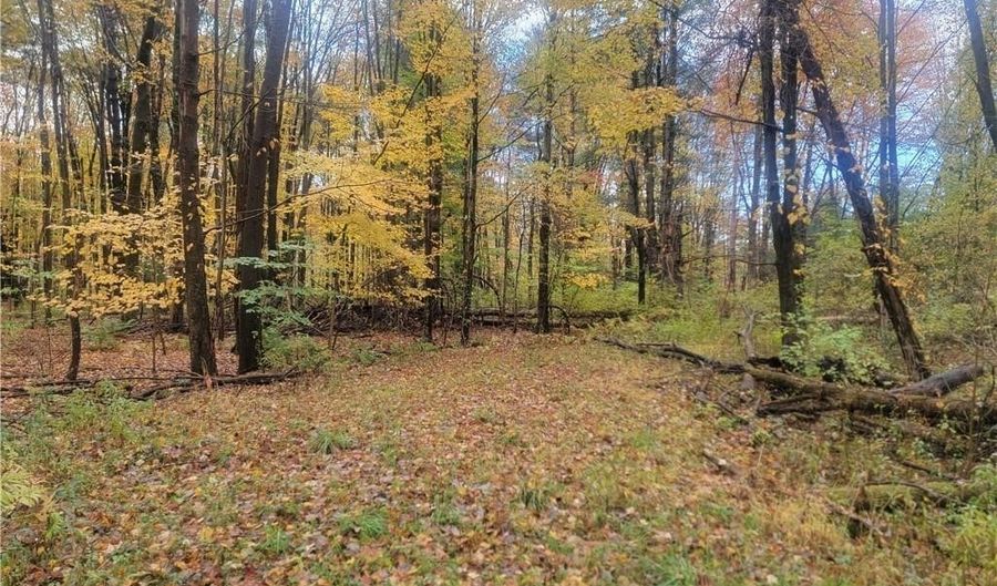 Schaen Drive, Andover, OH 44003 - 0 Beds, 0 Bath