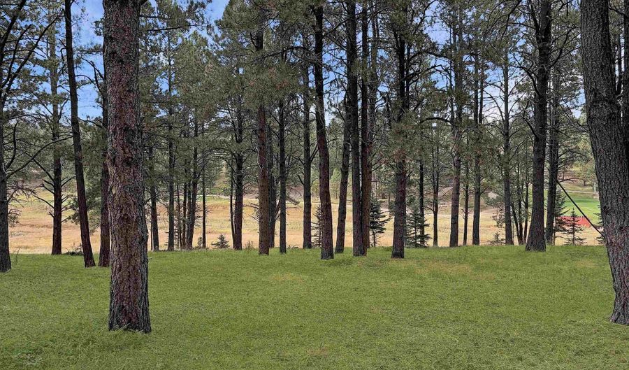 Lot 1133 Spyglass Hill Rd, Angel Fire, NM 87710 - 0 Beds, 0 Bath