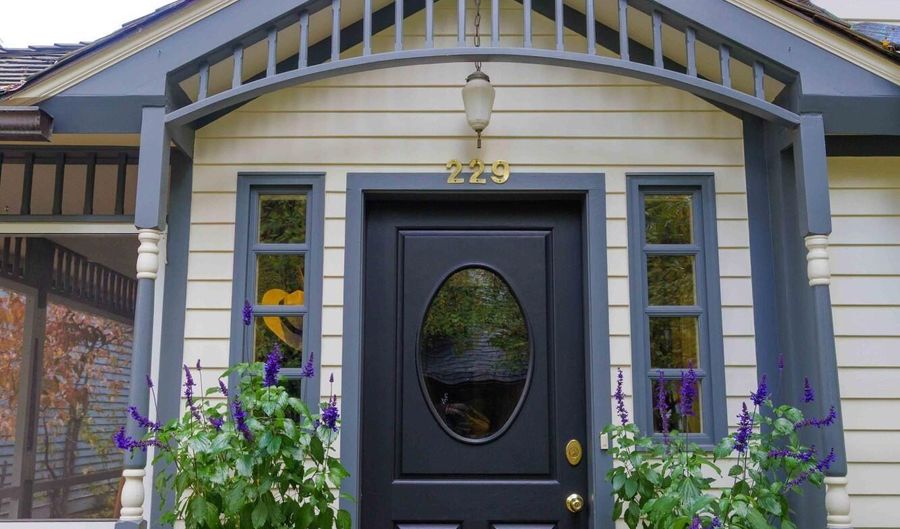 229 W Hallam St, Aspen, CO 81611 - 4 Beds, 4 Bath