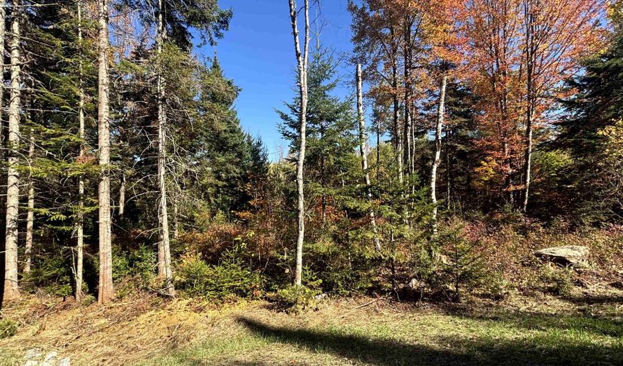 Atwood Road lot 4, Brighton, VT 05846 - 0 Beds, 0 Bath
