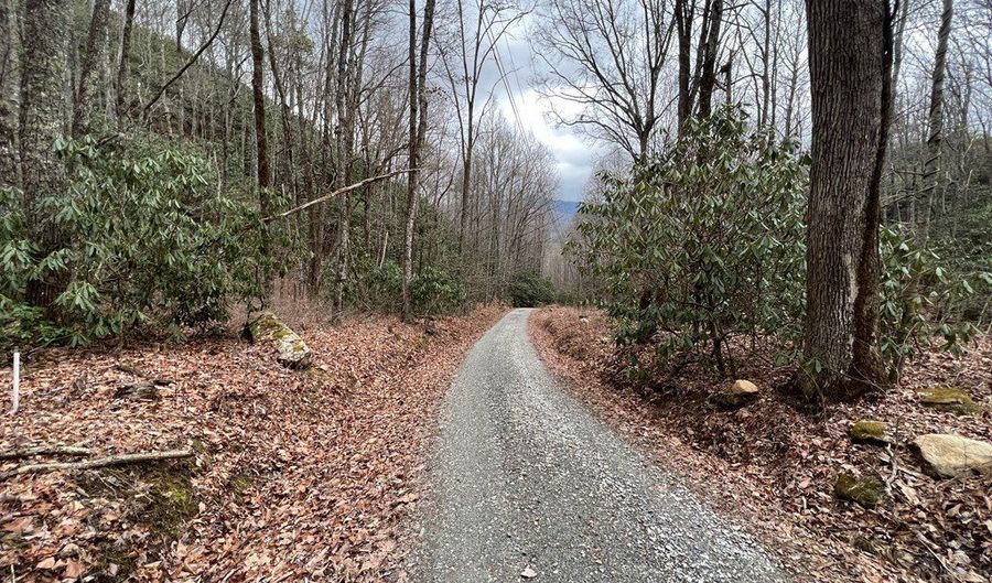 Lt 170 Granny Squirrel Drive 170, Andrews, NC 28901 - 0 Beds, 0 Bath