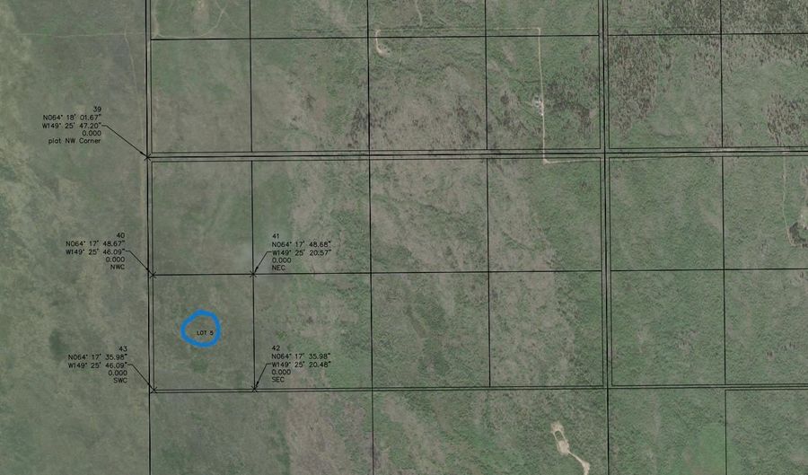 L-5 KOBE AG ROAD lot 5, Anderson, AK 99744 - 0 Beds, 0 Bath