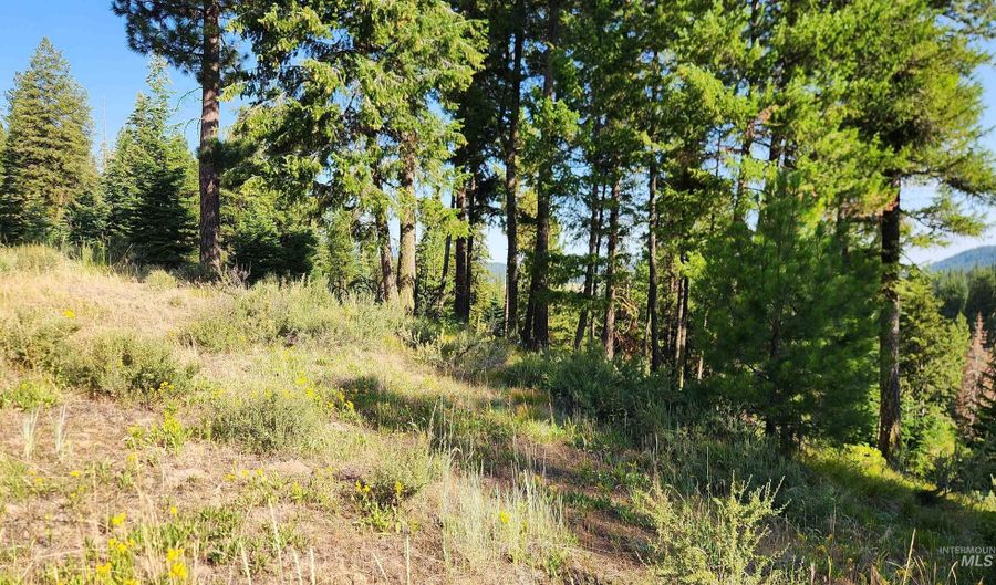 16 Sarah Way, Cascade, ID 83611 - 0 Beds, 0 Bath