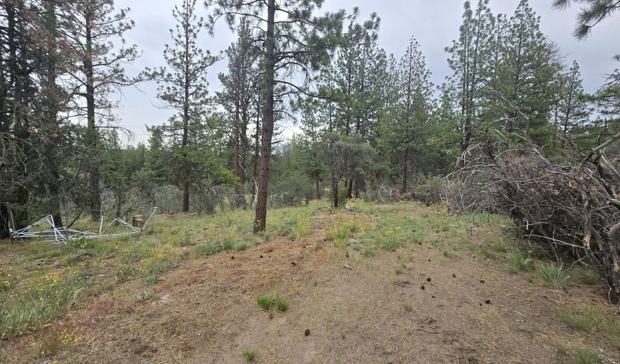 Partin Way 5, Beatty, OR 97621 - 0 Beds, 0 Bath