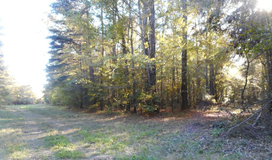 E-S Drive, Braxton, MS 39044 - 0 Beds, 0 Bath