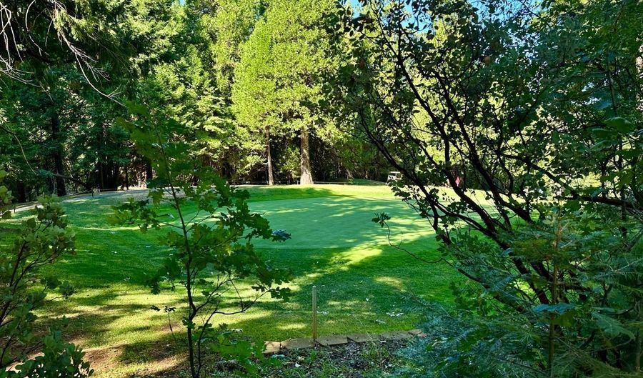 1428 Meadow Dr, Arnold, CA 95223 - 3 Beds, 3 Bath